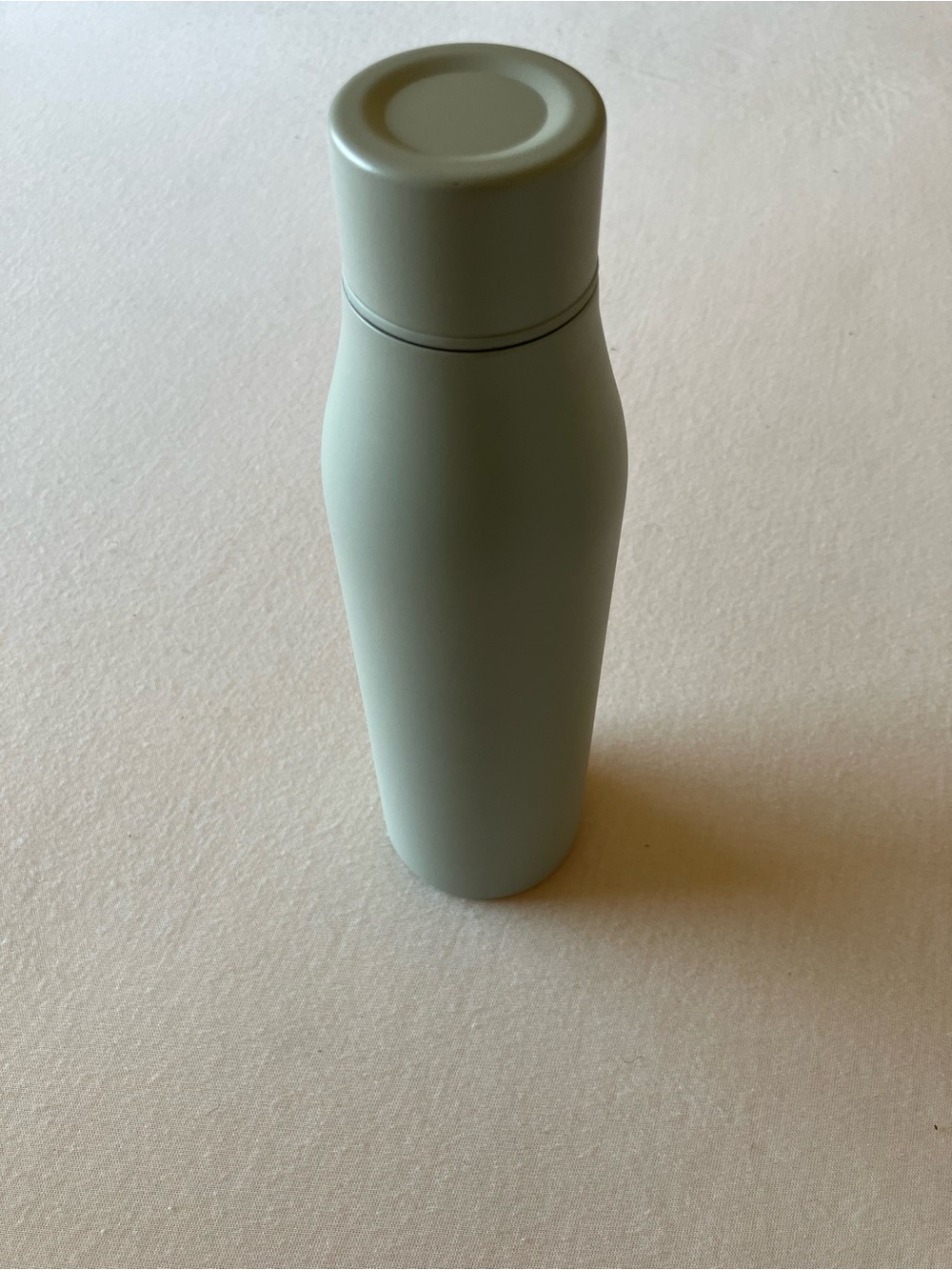 Amazon Basics 20 oz Stainless Steel Insulated Water Bottle Sage Green